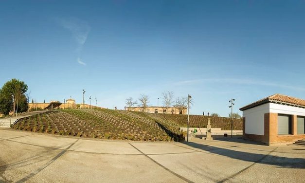 Actividades del Aula Medioambiental en Boadilla: enero y febrero