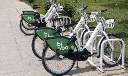 BIBO suma más de 3.000 usuarios en su primer mes